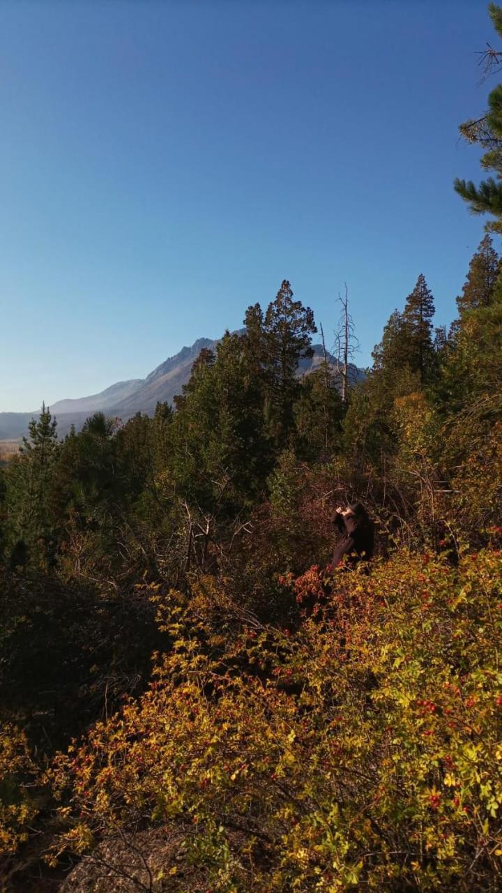 Criollo Lodge Hoyo de Epuyén Dış mekan fotoğraf